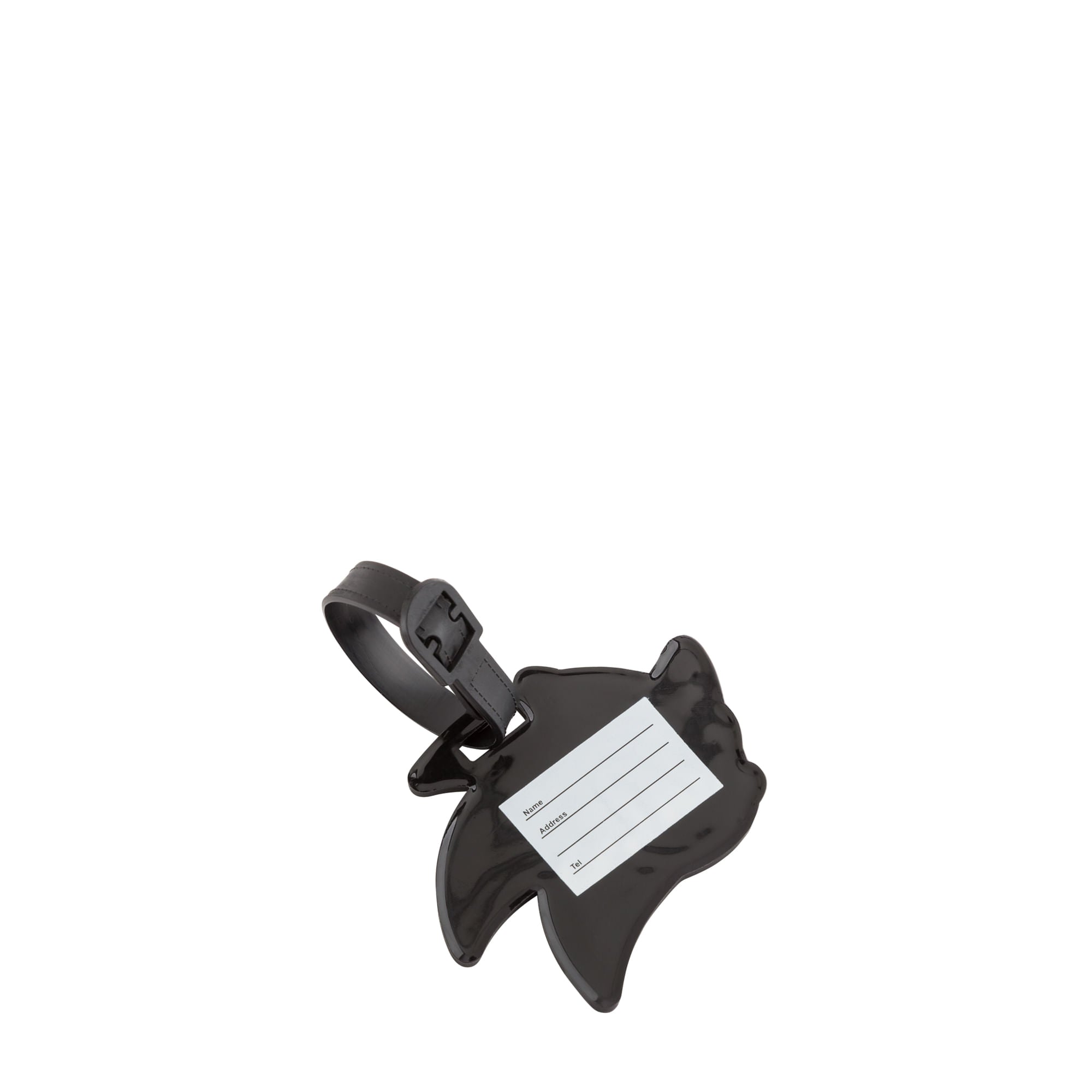 Carpisa Tag - Sonic – 3167280 – AAC73905944