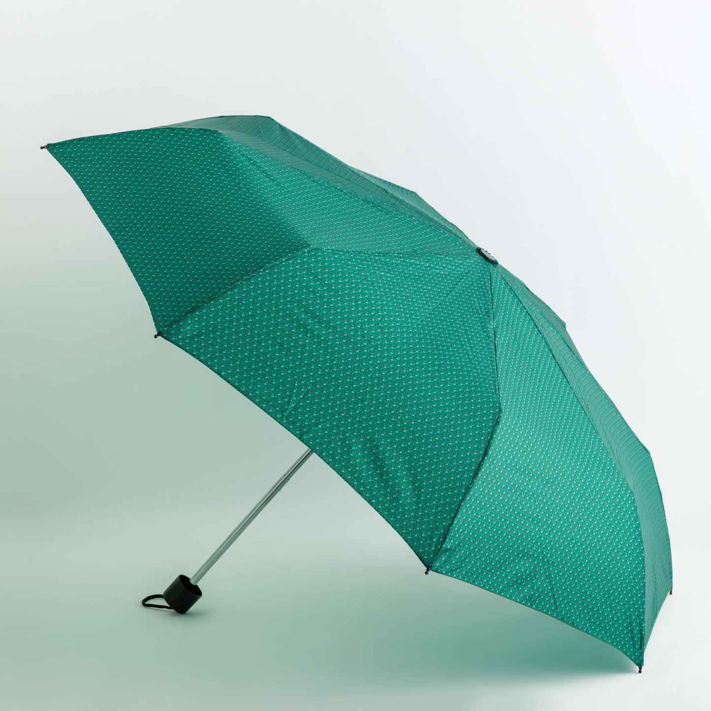 Lucky umbrella accessories - Woman