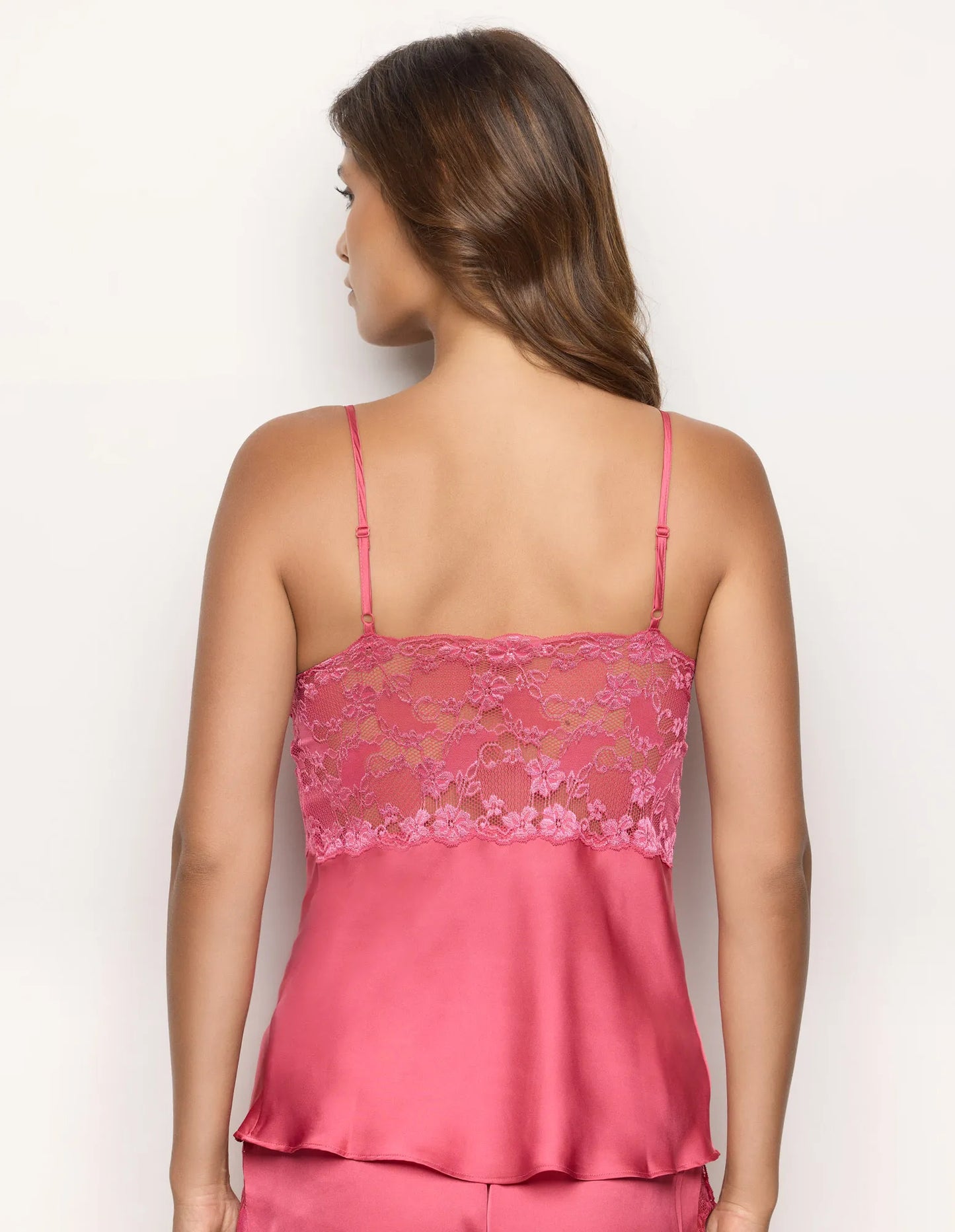 Primula color - Top