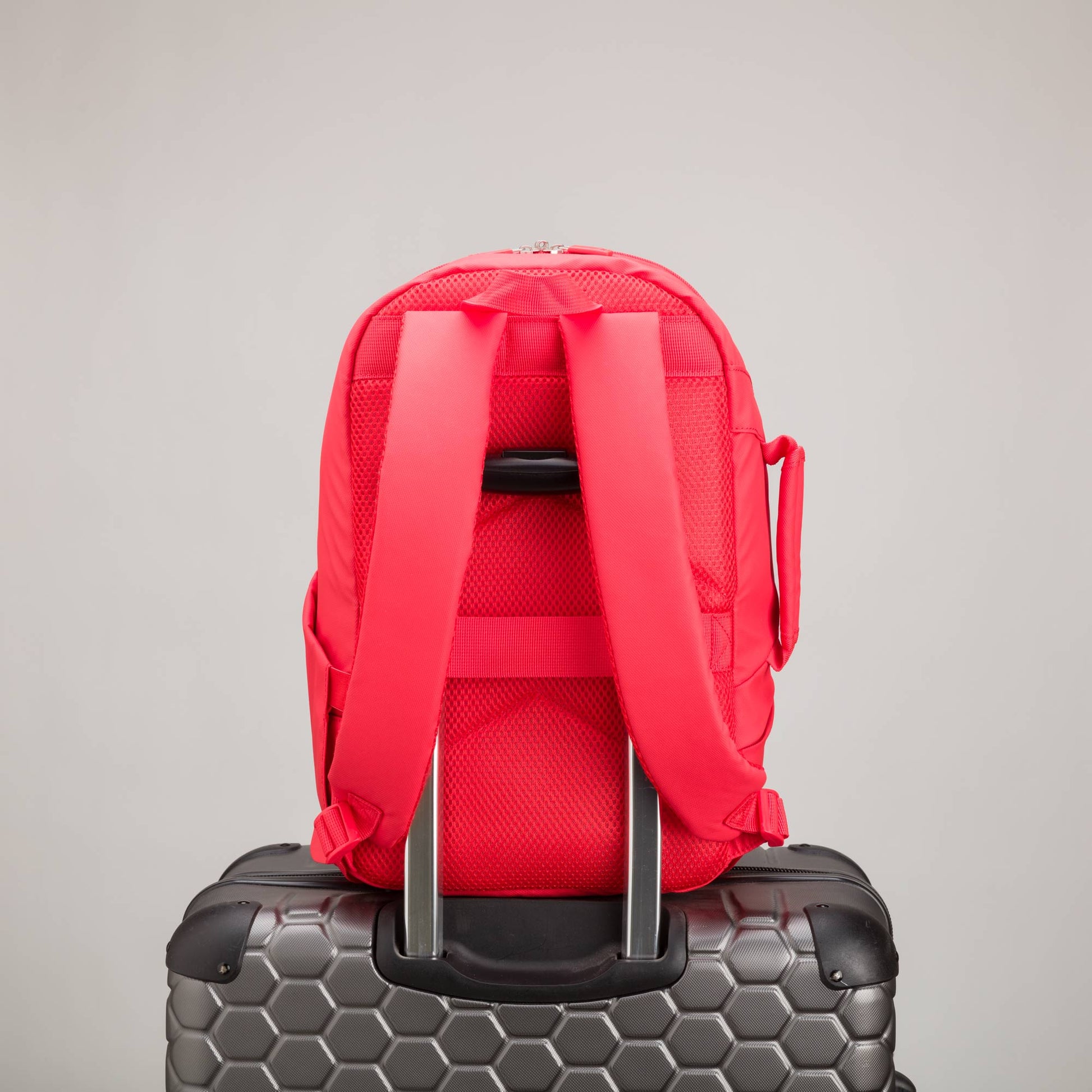 Carpisa Zaino - Thrilling GO Bags – 3167441 – BSC71803945