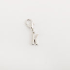 Letter charms - Charm