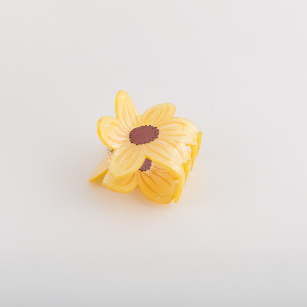 Carpisa Hair clips - Sunny – AAD0330344575101_01_basechild – AAD03303445