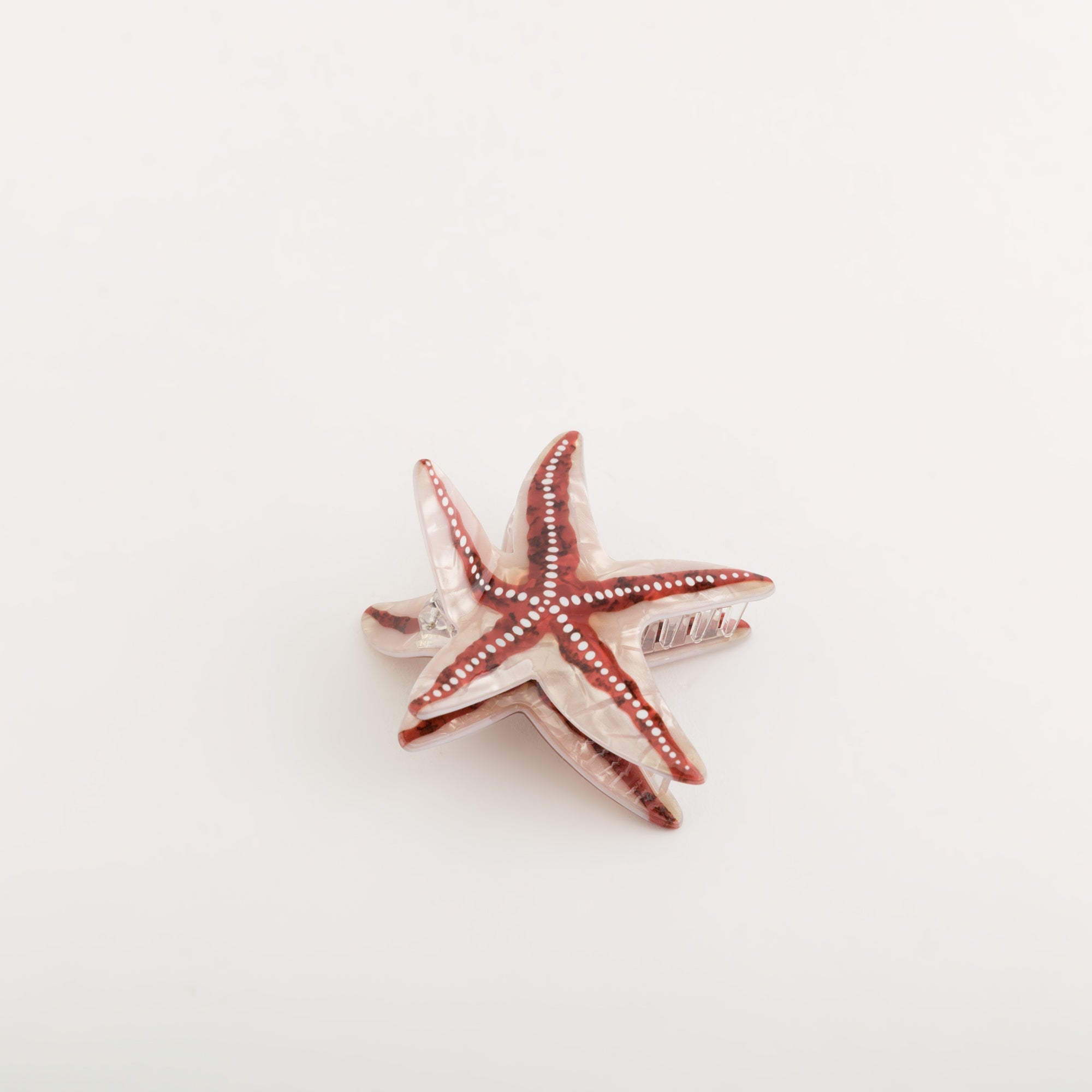 Carpisa Crna Gora – Summer hair accessor - Women's Hair Clips – Moka – AAD45306446 – Image 1