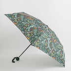 Carpisa Mini umbrella - Rainy Umbrella – AOC9540754533801_01_basechild – AOC95407545