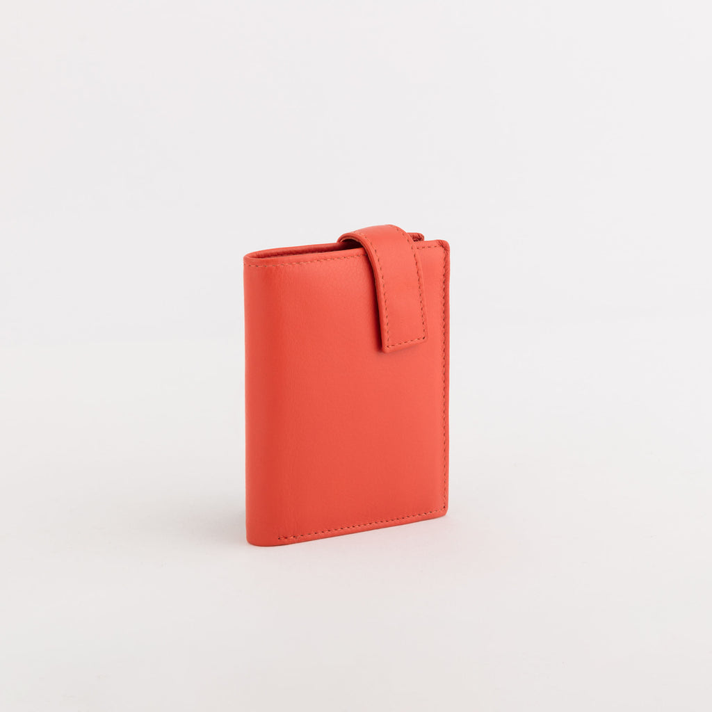 Carpisa P/Credit Cards - Ilasy New – APC0510394362101_01_basechild – APC05103943