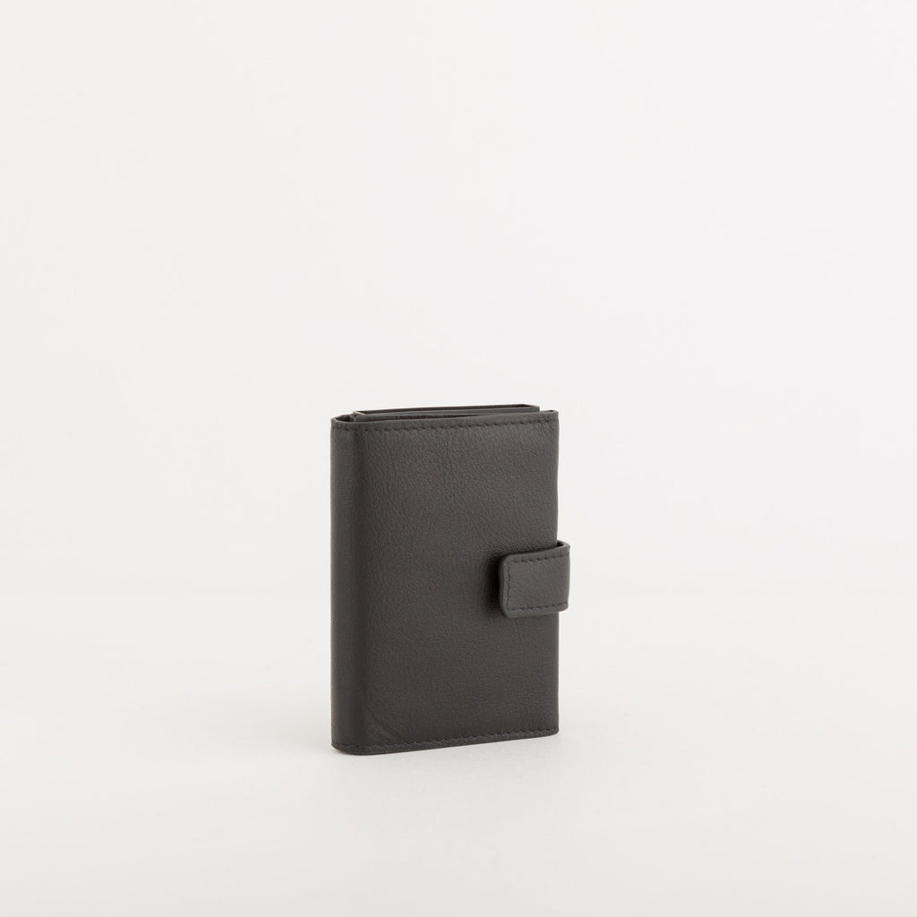 Carpisa – Ilasy - RFID Leather Credit Card Holder – APC05104943