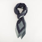 Carpisa Montenegro – Scarf - Women's Scarf – ASD22004446 – Image 1 |k=ASD2200444642V01_01_basechild