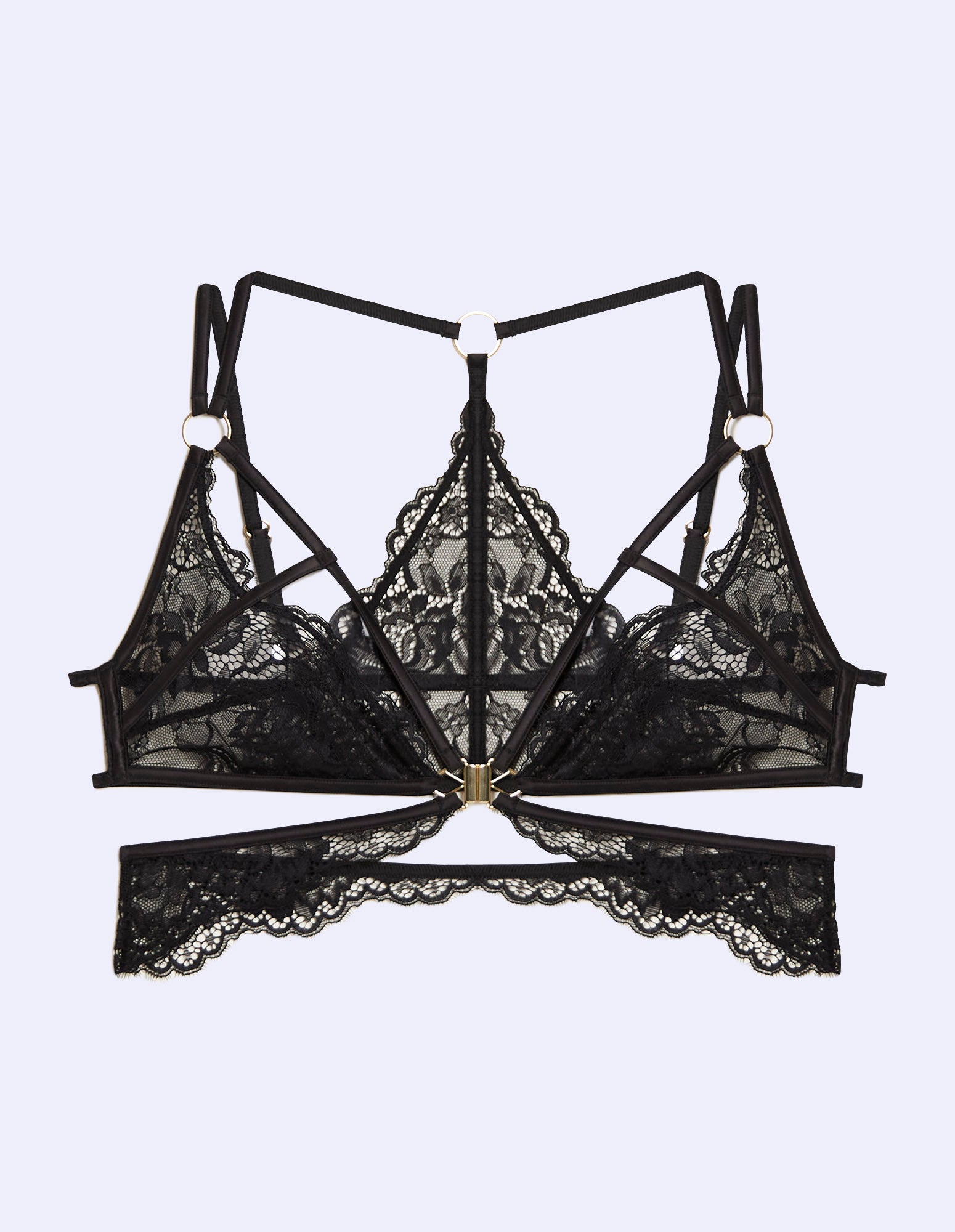 BRAS-Prive' - Black rose