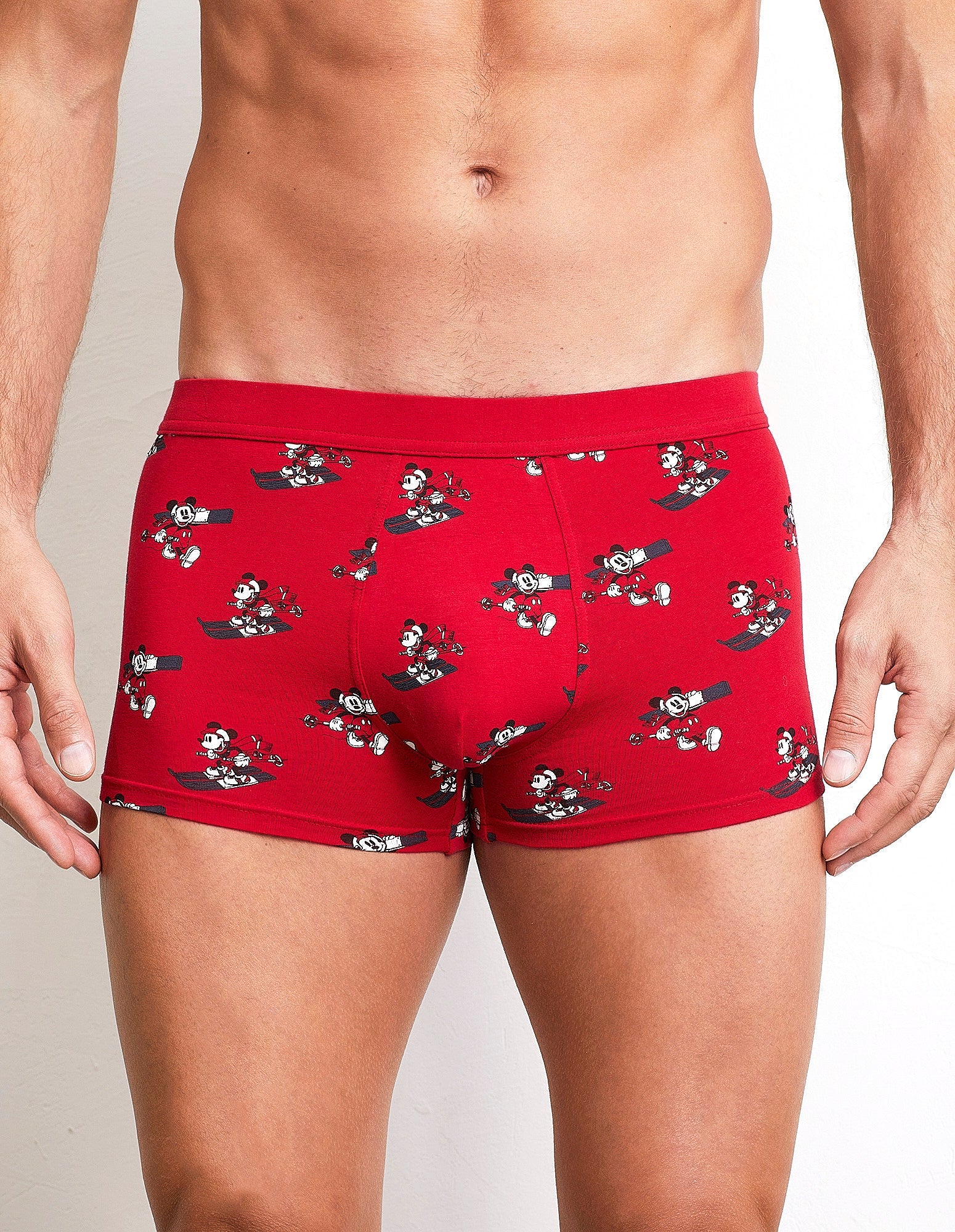 Disney Skipass Family - Man Trunks