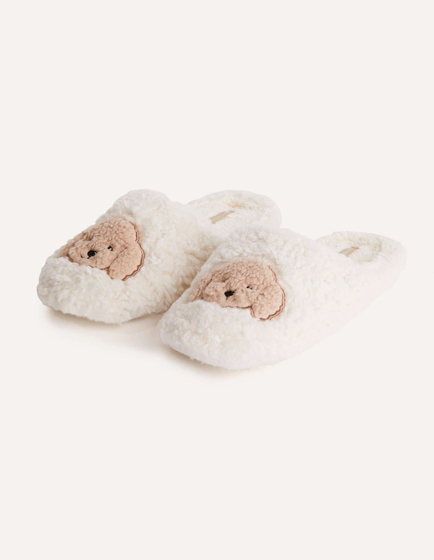 Slippers_Teacup_Poodle